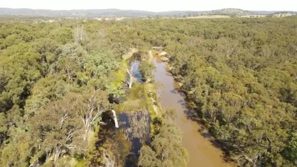 Widok Lotu Ptaka Krzaki Bagna Emmaville Nowa Południowa Walia Australia — Wideo stockowe