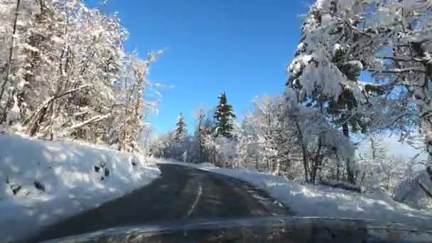 Soğuk Havada Tamamen Karla Kaplı Ağaçlarla Dolu Bir Arabadan Güzel — Stok video