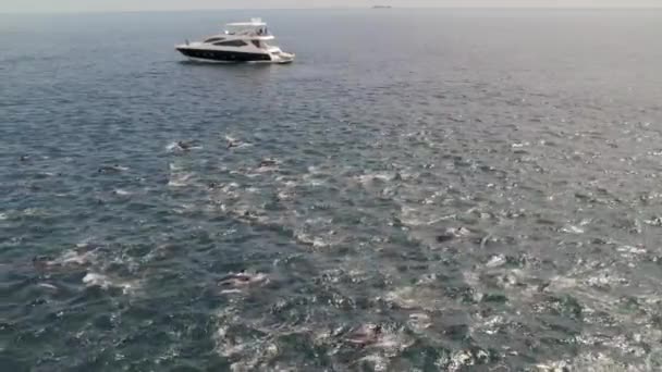 Lent Mouvement Aérien Autour Mer Cortez Avec Bateau Flottant Dauphins — Video