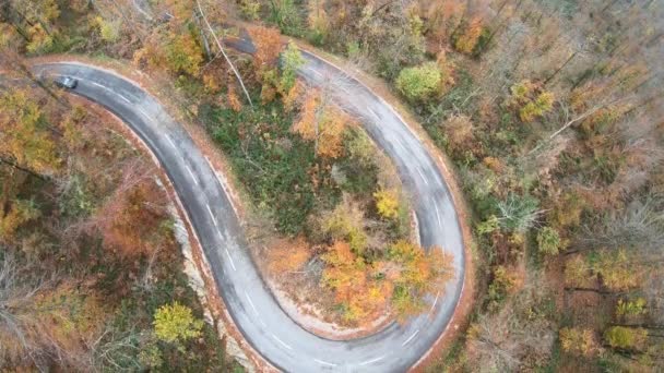 Uma Vista Aérea Carro Montado Serpentina Uma Floresta Outono — Vídeo de Stock