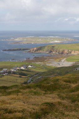 Mantarın dikey hava görüntüsü İrlanda 'da bir Dublin sahili