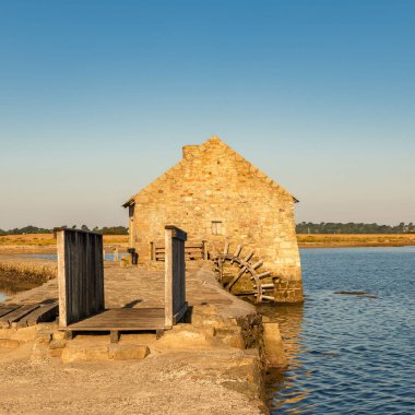 Morbihan Körfezi 'ndeki Arz Adası, gelgit değirmeni, panorama.