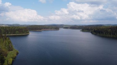 Güzel bir göl manzarası ve mavi bulutlu gökyüzünün altında ağaçları olan bir orman.