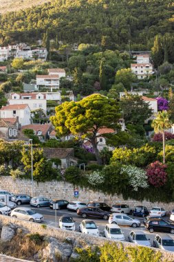 Hırvatistan 'ın Dubrovnik kentindeki ağaçlık çiçek sokağına park edilmiş araçların dikey görüntüsü