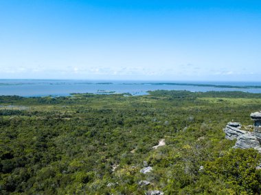 Amazon yağmur ormanlarında güneşli bir günde Amazon Nehri 'ndeki orman ağaçlarının güzel hava görüntüsü. Amazonia, Brezilya.