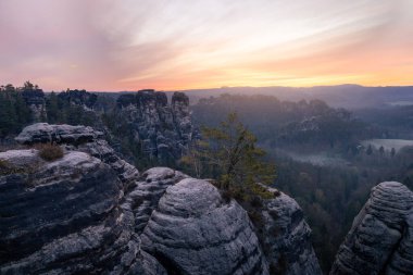 Saxon İsviçre Ulusal Parkı 'ndaki Bastei kayalıklarında büyüyen bir ağacın manzarası gün batımında Almanya' nın Dresden yakınlarında alacakaranlık gökyüzüne karşı.