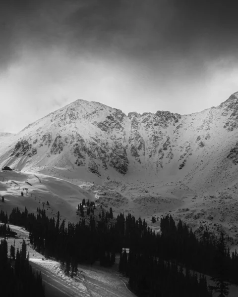 Siyah beyaz çam ağaçlarıyla çevrili güzel bir dağ manzarası.