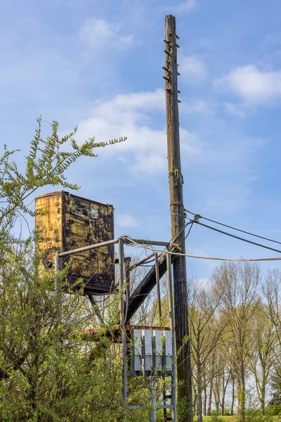 Mavi gökyüzü arkaplanlı bir elektrik direğinin dikey görüntüsü