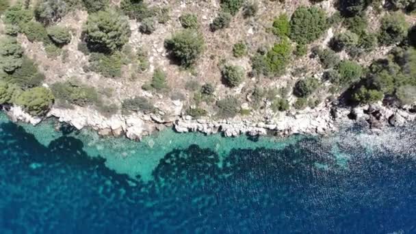 Denizin Üzerinde Uçan Bir Dron Üzerinde Kuşlar Uçuşan Kayalık Bir — Stok video