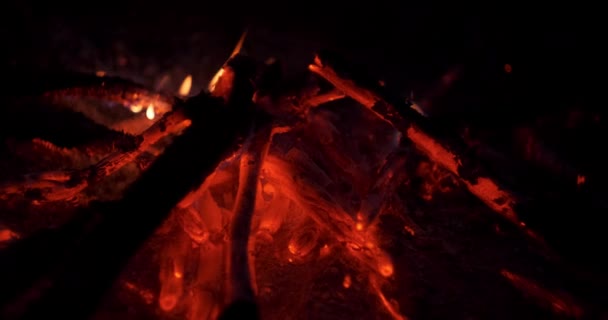 Ein Winterliches Lagerfeuer Mit Brennenden Flammen — Stockvideo