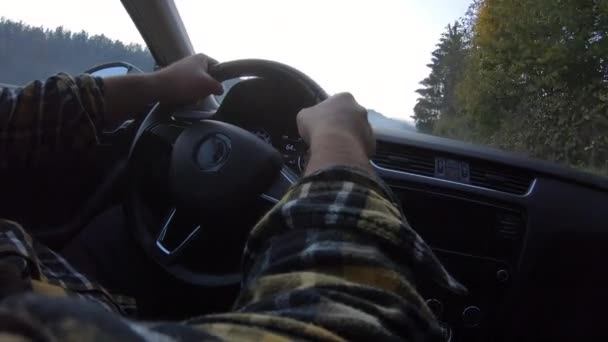Pov Shot Male Hands Driving Car Sunny Trees Road Blue — Stock Video