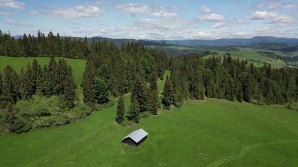 美しい緑の森の中の家の空中撮影 — ストック動画