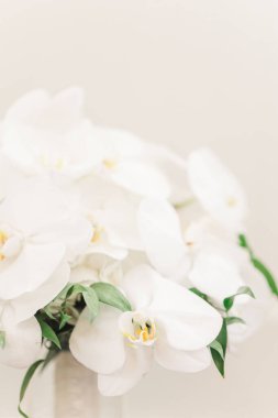 Yeşil yapraklı beyaz orkidelerden oluşan güzel bir buketin dikey yakın çekimi.