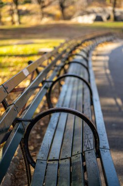 New York Central Park 'taki bankların dikey çekimi.