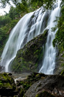 Tayland 'ın tropikal ormanlarındaki bir şelaleden akan ipek etkisinin dikey görüntüsü.
