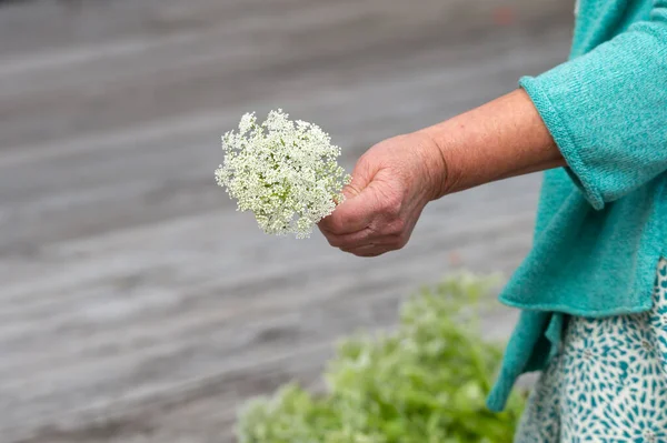 Vrouw Met Witte Bloemen Gebruiken Voor Een Bloemenkrans Voorbereiding Voor — Stockfoto