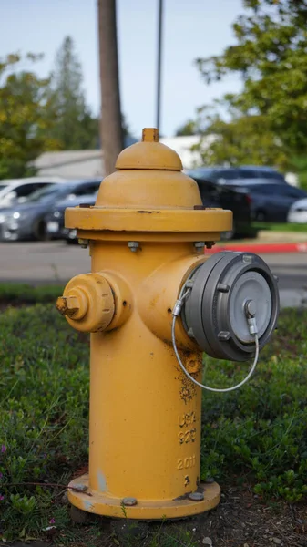 屋外での黄色い消火栓の垂直ショット — ストック写真