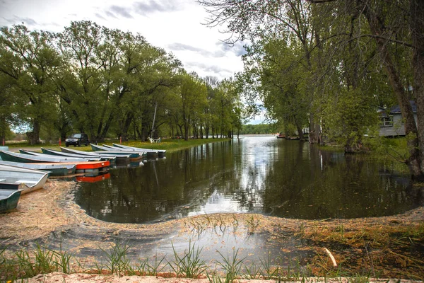 Rental Boats Shore Calm Lake Park — Stock Photo, Image