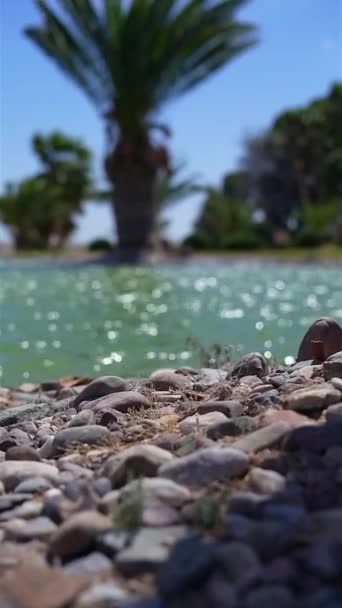 Ein Vertikaler Blick Auf Das Türkisfarbene Wasser Vom Kieselstrand Mit — Stockvideo