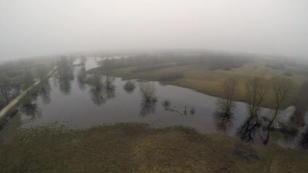 在多雾的天气里 一个有树木和池塘的农村地区的航拍 — 图库视频影像
