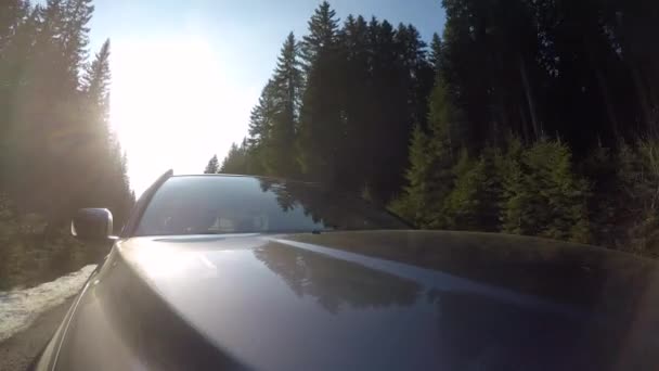 Een Prachtig Uitzicht Een Auto Met Bomen Achtergrond — Stockvideo
