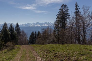 Güneşli bir günde Alpler, Fransa 'nın düşük açılı bir görüntüsü.