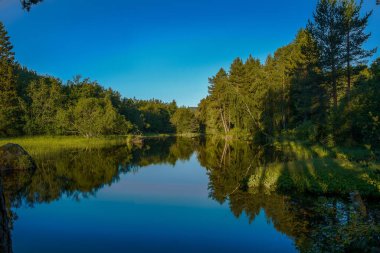 Yeşil bir ormanda güzel bir yansıtıcı mavi göl
