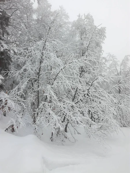 冬のフランスのエイヨンの性質 — ストック写真