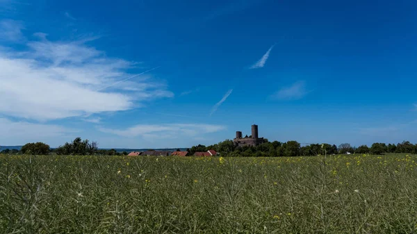 Beautiful View Munzenberg Castle Yellow Flowers Foreground Wetteraukreis Hesse Germany —  Fotos de Stock