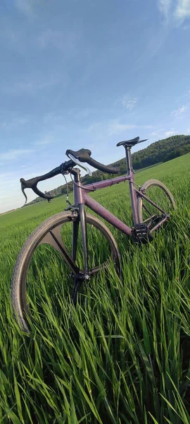 Vertikal Bild Cykel Parkerad Grönska Fält Med Växande Gräs — Stockfoto