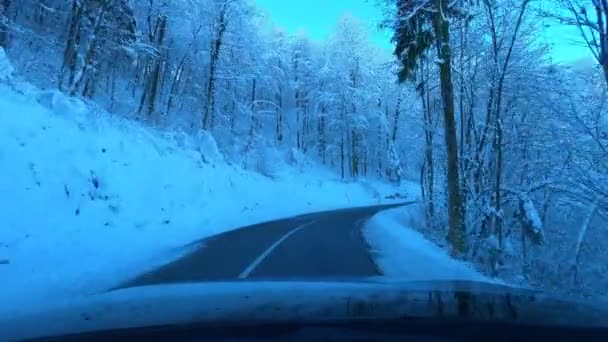 Closeup Car Driving Beautiful Forest Winter — Stock Video