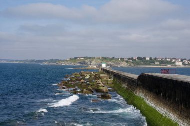 Mavi gökyüzünün altında yosunlu taşlarla güzel bir deniz manzarası.