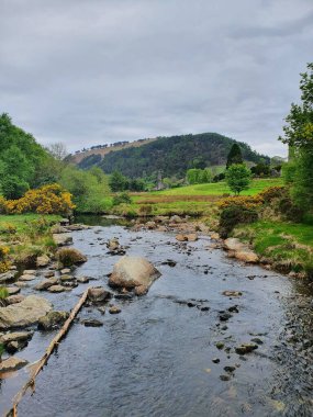 Bulutlu bir günde küçük bir nehrin dikey görüntüsü.