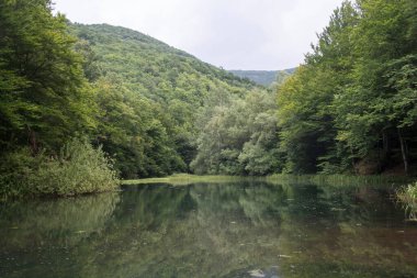 Sırbistan 'da Grza Gölü ve Grza Nehri