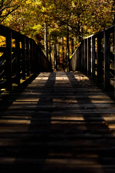 Vertical Shot Wooden Bridge Shadow Background Trees — Photo