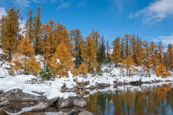 Uma Bela Paisagem Inverno Com Lago Alpino Cercado Por Árvores — Fotografia de Stock