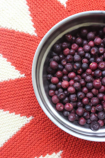 Closeup Indian Sherbet Berry Phalsa Fruit Steel Bowl — Stock Photo, Image