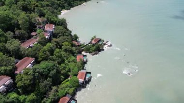 Deniz kıyısındaki yemyeşil ağaçlarla çevrili binaların hava manzarası.