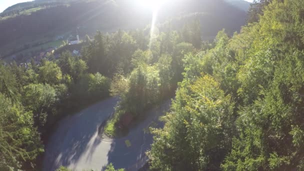 Flygfoto Över Kurvig Väg Omgiven Täta Gröna Träd Slovenien — Stockvideo