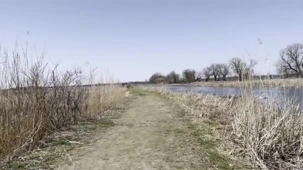 Camino Tierra Con Hierba Seca Día Soleado — Vídeos de Stock