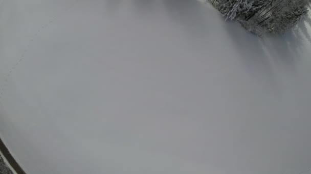 冬は雪に覆われた森の中の川の空中風景 — ストック動画