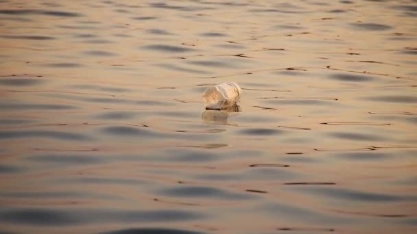 Отброшенная Пластиковая Бутылка Водой Плывущая Волнам Время Купания Свете Заката — стоковое видео