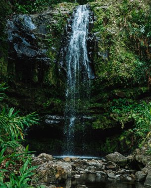 İnce bir şelalenin dikey görüntüsü uçurumdan aşağı akıyor..
