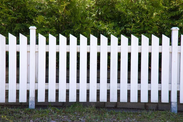 A beautiful shot of a white picket fence