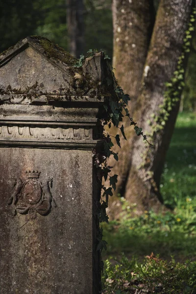 Almanya 'nın Freiburg kentindeki eski mezarlıkta bulunan tarihi mezar taşının dikey yakın çekimi..