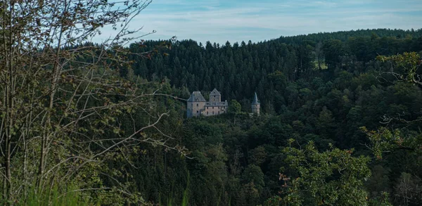 Beautiful Shot Chateau Reinhardstein Middle Forest — Stock Photo, Image