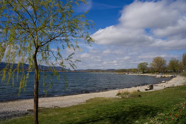 Gölün güzel, sakin kıyısı yeşillik ve bulutlu gökyüzünün altındaki ağaçlarla kaplı.