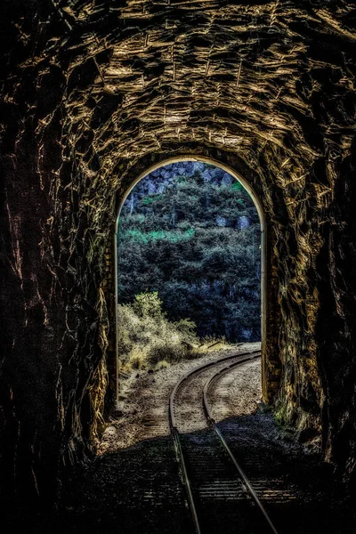 Vertical Shot Old Tunnel Railways Rural Area — Foto de Stock