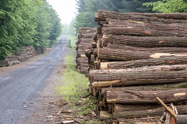 Macaristan 'ın Zalaegerszeg kentindeki Csacs Botanik Bahçesi (Csacsbozsoki Botanik Bahçesi)