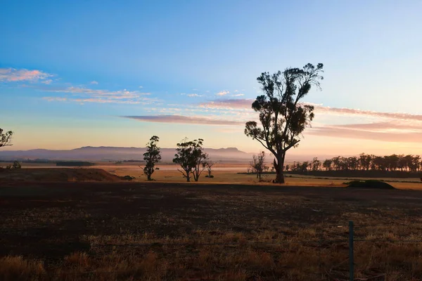 Malowniczy Widok Łąki Drzewa Wsi Podczas Zachodu Słońca — Zdjęcie stockowe